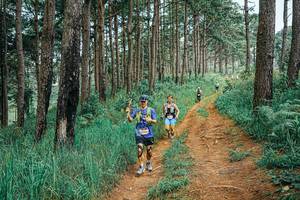 BIB: 
                            <button type="button" onclick="openModal(25661679)" class="btn btn-primary btn-sm float-right btn-popup" data-toggle="modal" data-target=".modal-high-quality">
                        <i class="fas fa-shopping-cart"></i> Add to Cart
                    </button>
                                            <button type="button" onclick="isThisMe(25661679, true)" class="btn btn-success btn-sm float-right btn-popup btn-isme hidden" data-toggle="tooltip" data-placement="bottom" title="นี่คือรูปของคุณใช่ไหม คลิกที่นี่เพื่อเอาเข้าอัลบั้ม">
                        <i class="fas fa-plus"></i> Add to album
                    </button>
                    <button type="button" onclick="isThisMe(25661679, false)" class="btn btn-warning btn-sm float-right btn-popup btn-isnotme hidden">
                        <i class="fas fa-ban"></i> Remove from album
                    </button>